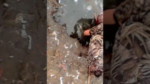 СУПЕР РЫБАЛКА В АХТУБИНСКЕ!!!