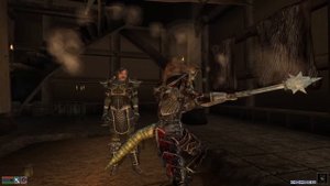 В трёх словах о The Elder Scrolls III: Bloodmoon