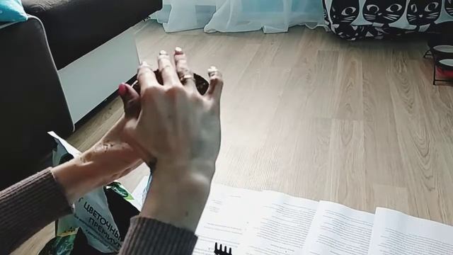 Как вырастить лимон из косточки
