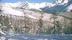 Охота Якутии