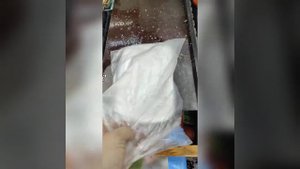 Посев семян Адениума