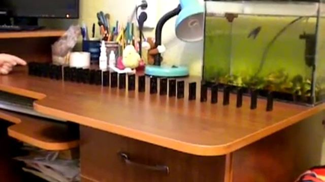 DSCN0760 смотреть онлайн