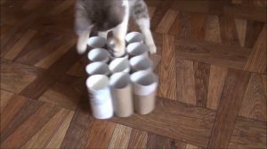 Игрушки для кошек своими руками. Игра "12 норок и одна мышка" _^.^_  Best toys for cat