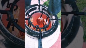 Готовим на огне. Жарим рыбку в тандыре Есаул.