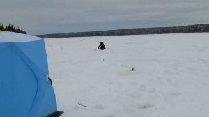 Зимняя рыбалка на Северной сосьве
