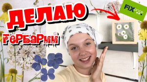 Гербарий в рамке! Новинка в Фикс Прайсе!