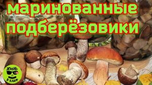 Маринованные грибы(подберëзовики)в автоклаве Вейн.Вкусный рецепт