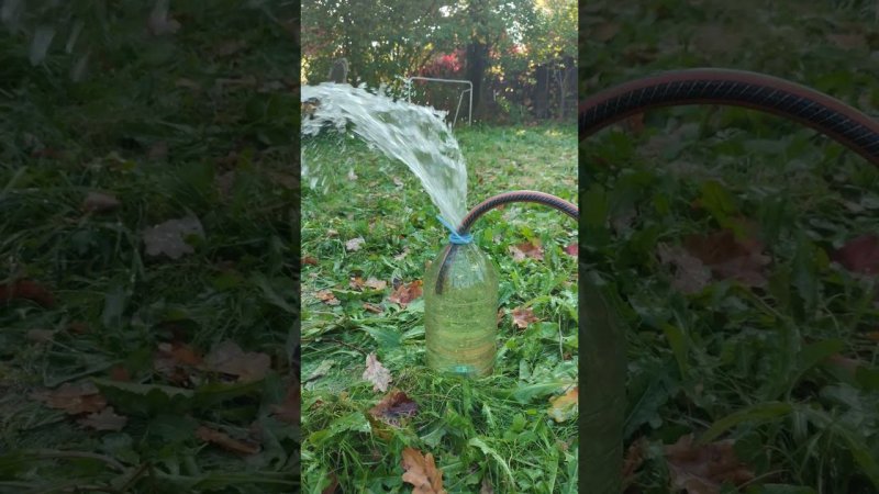 Болота имени Воровского! Абиссинская скважина в колодце