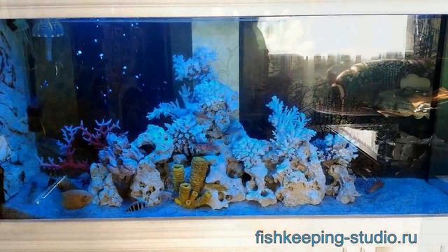 Подборка аквариумов оформленных в стиле "Псевдоморе"- A selection of decorated aquariums
