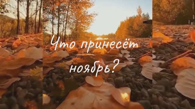 Что принесёт ноябрь?