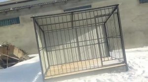 Собачий вольер