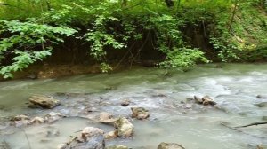 Варениковский лес, Крымский район, Краснодарский край. Водный релакс