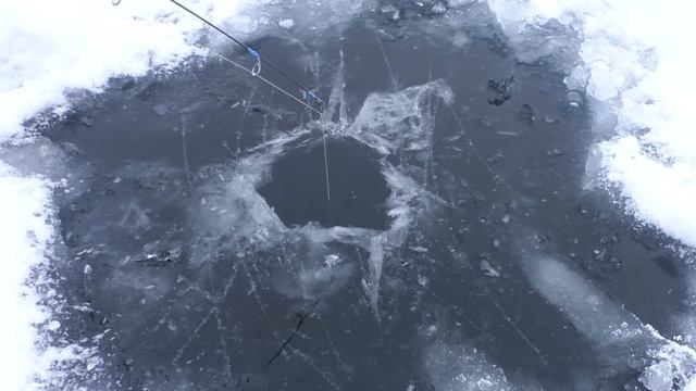 МЕШКАМИ ПРУТ РЫБУ СО ЛЬДА!!! ЭТО ЯКУТИЯ Первый лед 2023-2024. Зимняя рыбалка. смотреть онлайн