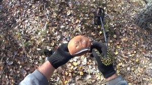 ТАНКОВОЙ ПОЛИГОН нашёл настрел латунных гильз на старом заброшенном полигоне. Коп металла.