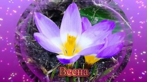 Футаж. Весна 40
