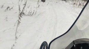 Снегоход  Sharmax SN-650 Max Pro в полях.