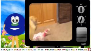 Смешные детские мультики для малышей, обучающий мультик про букву Д
