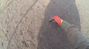 Откройте Тайну! Коп Монет с Камрадом в Урочище, между двух озер.