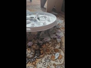 Я НАКОСЯЧИЛ / УПАЛА ЛЮСТРА