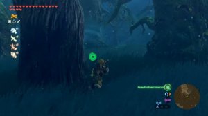 The Legend of Zelda: Breath of the Wild - Путь к Лесу Короков [Затерянные леса]