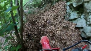 Никитино июнь 24 - Trim