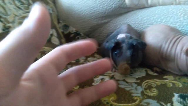 всех с новым 2023 годом традиционное поздравленье😀😆✨🎇🎆🎉 смотреть онлайн