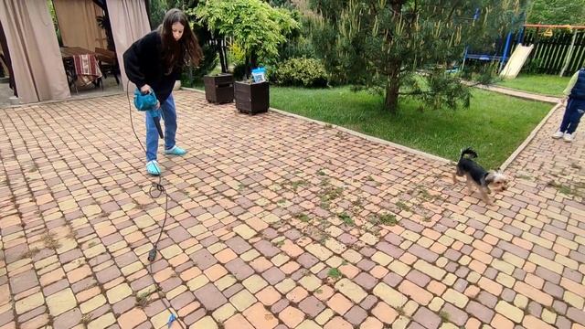 Распаковка. Отзыв о воздуходувке фирмы Макита UB1103. смотреть онлайн