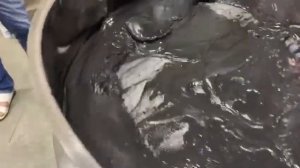 Производство активированного угля