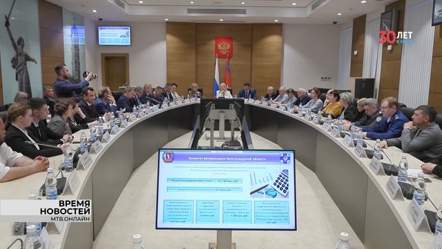 На Экосовете в Волгограде высказались в поддержку закона о бездомных животных