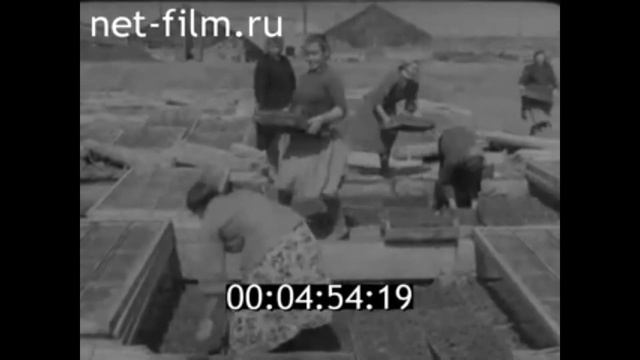 1961г. село Началово. Приволжский район. Астраханская обл смотреть онлайн