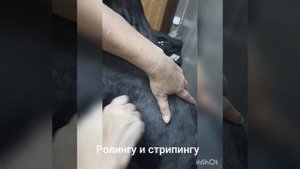 Наши  работы .Часть первая. Триминг. Стрипинг. Ролинг.