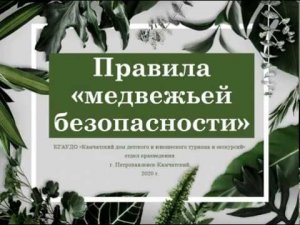 Видеоурок «Правила медвежьей безопасности».