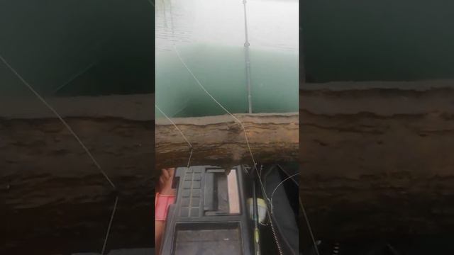 Спиннинг в деревне, тест :"Плетенка из Китая", Блесна от "Русской блесны"и Спиннинг "Форвард"от Даю смотреть онлайн