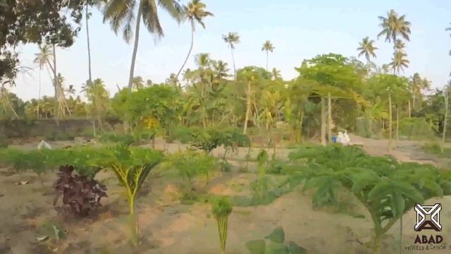 ABAD Turtle Beach Resort Marari | Alleppey | Kerala Tourism | Beach Resorts in Marari. смотреть онлайн