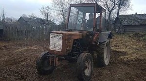 Тащим огромных пауков  ! Что делать в деревенском  огороде когда собран урожай .