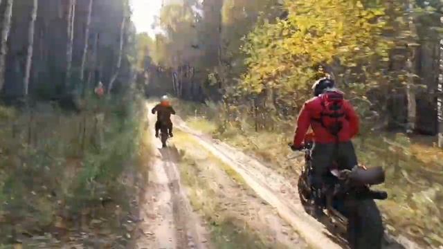 мой зелёный скремблер Иж Планета на испытаниях в лесу#bike #ижпланета #кастом
