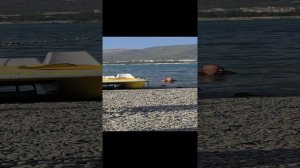 БАРХАТНЫЙ СЕЗОН ГЕЛЕНДЖИК  ТЁПЛАЯ ВОДА ТЕНЬ ЦЕЛЫЙ ДЕНЬ