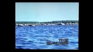 Вокруг Птинова острова.