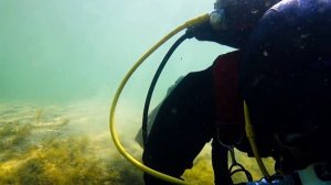 Рак -гигант ! Полнолицевая маска Ocean Reef . Дайвинг выходного дня .