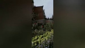 Мощи Святого Феодосия Кавказского