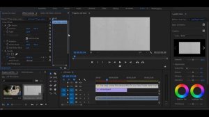 How To Create Old 1920s FILM LOOK In Premiere Pro