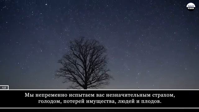 Красивое чтение Корана (Аль-Бакара, аят 152-157) смотреть онлайн