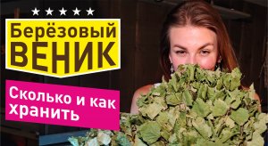 Старый веник в баню? Культура заготовки и выдержки веников для парения в бане