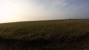 Радиоуправляемый биплан Ultimate 40S двс