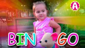 Bingo Kids Arisha Show & Kids Songs