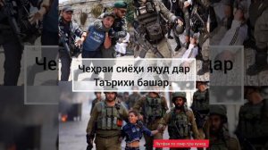 Маълумот дар бораи Фаластин