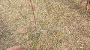 Обновки для коз - делаю жизнь удобнее/Новая Жизнь РоМашки