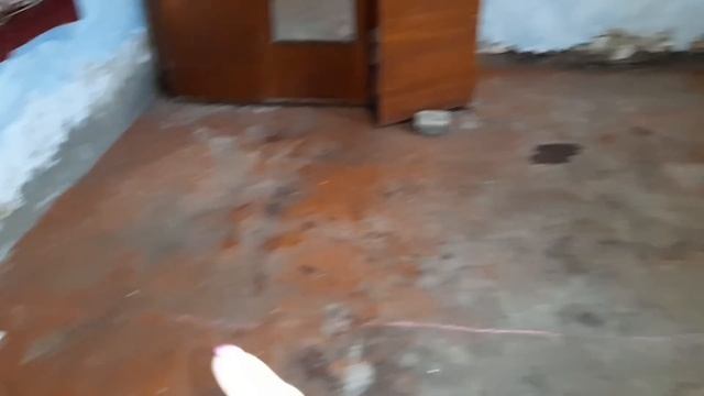 Село!Дожди.Огород.Дому 100 лет,что будем делать?