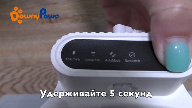 Автоматическая поилка для собак. Фонтан, дозатор, поилка для кошек DownyPaws. Автопоилка для собак
