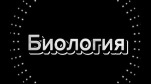 все виды - "ну что похимичим?"